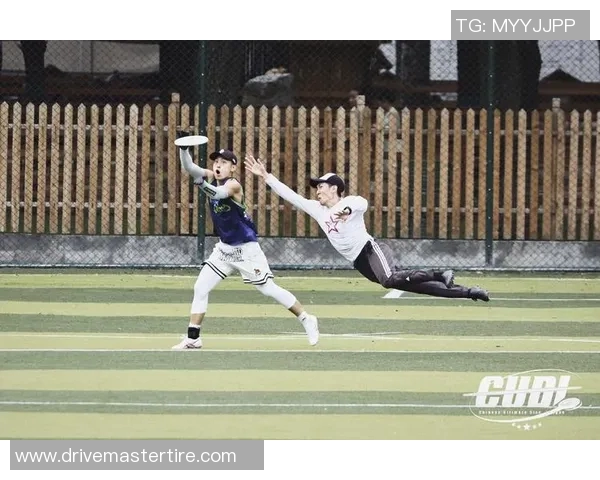 西安飞盘队团队协作引发热议背后的争议与思考